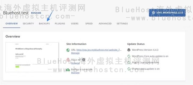 BlueHost主机备份WordPress网站